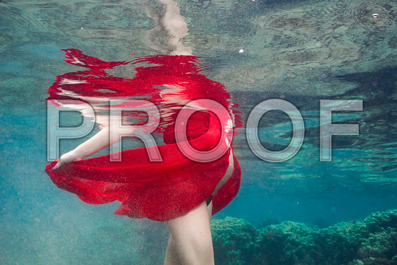 Carlson_Underwater_003