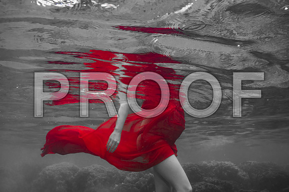 Carlson_Underwater_007