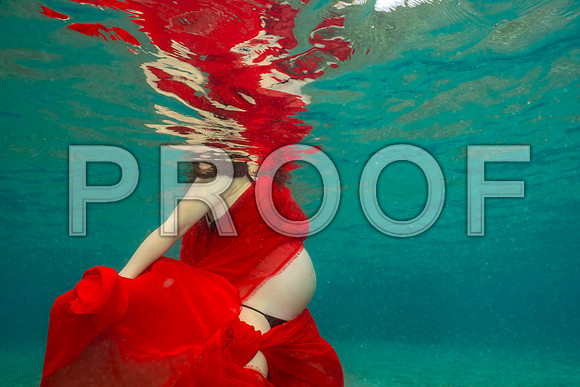 Carlson_Underwater_019