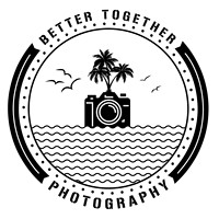 logo X